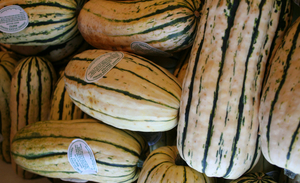 Squash - Delicata 